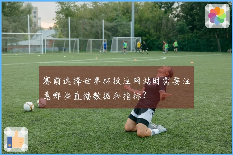 赛前选择世界杯投注网站时需要注意哪些直播数据和指标？
