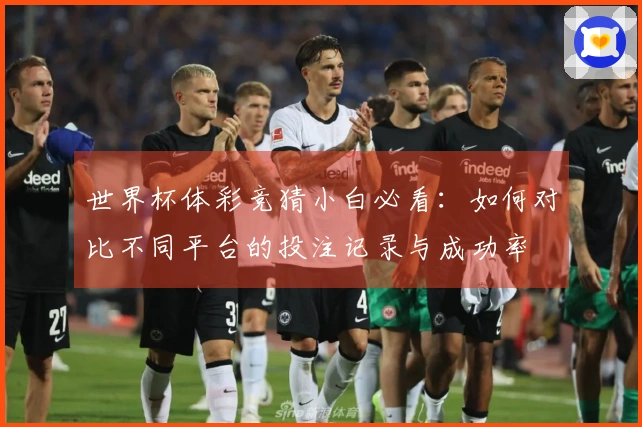 世界杯体彩竞猜小白必看:如何对比不同平台的投注记录与成功率