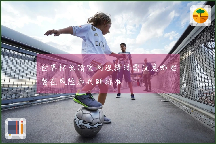 世界杯竞猜官网选择时需注意哪些潜在风险和判断标准