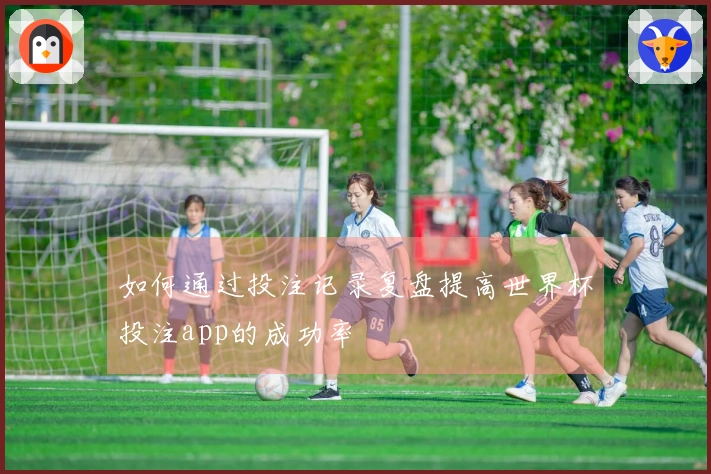 如何通过投注记录复盘提高世界杯投注app的成功率