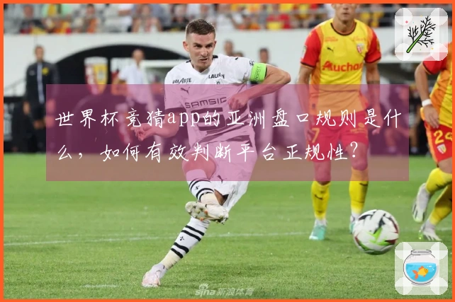 世界杯竞猜app的亚洲盘口规则是什么，如何有效判断平台正规性？